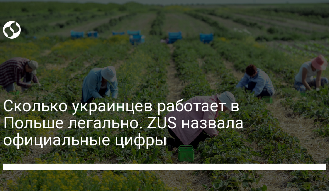 Сколько украинцев работает в Польше легально. ZUS назвала официальные цифры